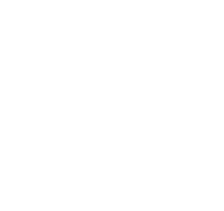 Logo - three doves flying